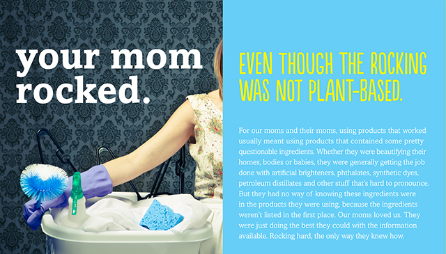 Brand Book Item 2 Image