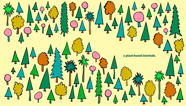 Brand Book Item 5 Image