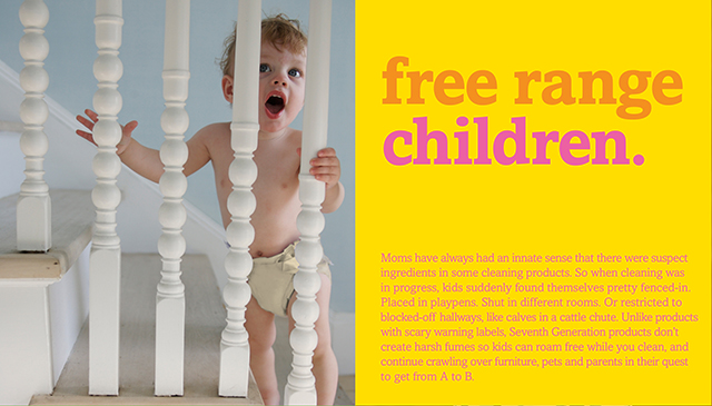 Brand Book Item 6 Image